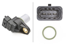 Load image into Gallery viewer, 009121501.MAIN.jpg