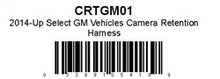 Load image into Gallery viewer, 021CRTGM01.jpg