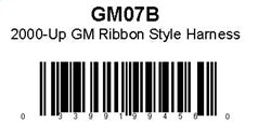 021GM07B.jpg
