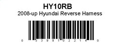 021HY10RB.jpg