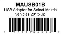 Load image into Gallery viewer, 021MAUSB01B.jpg