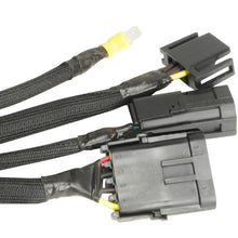 Load image into Gallery viewer, 10491-P03-4.jpg
