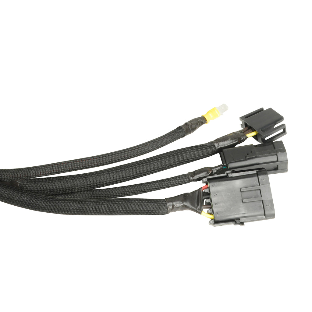 10654-P03.jpg