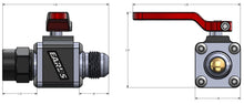 Load image into Gallery viewer, -10femaledimensions19141.jpg