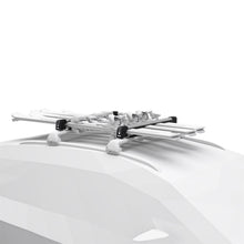Load image into Gallery viewer, 1386652.jpg