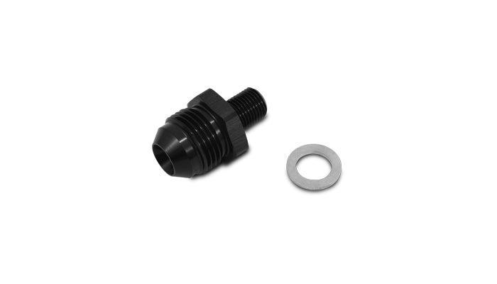 16629_WEBL.jpg