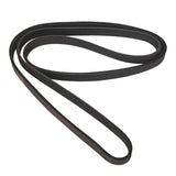 Omix 1711181 Serpentine Belt;