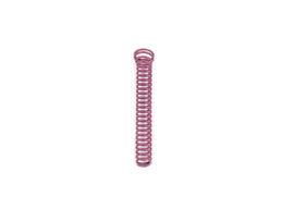 22-190 1 Oil Pump Springs.jpg