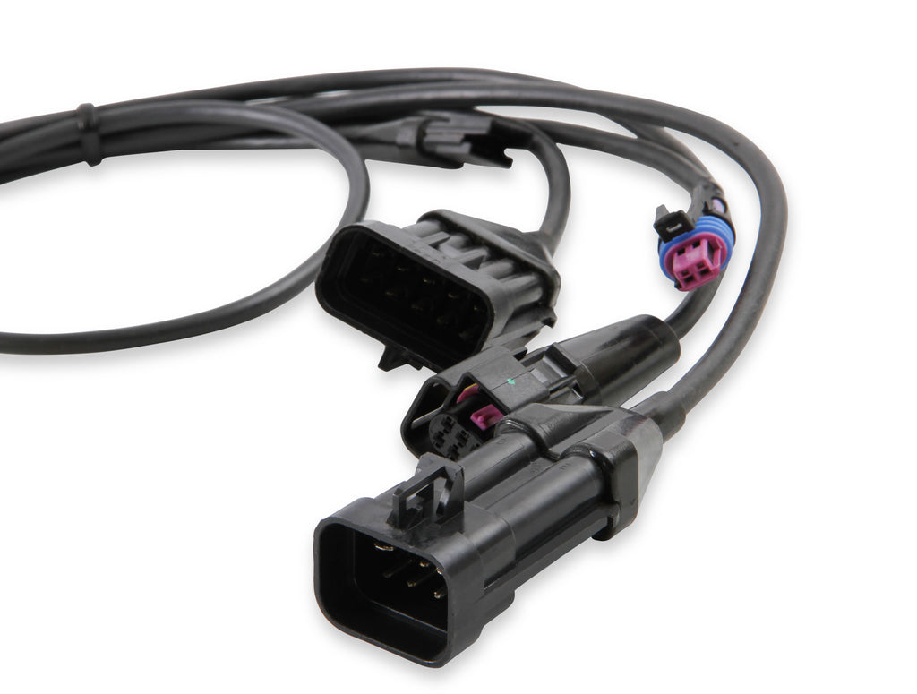 1bblharness_01.jpg