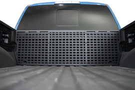 2017-2020-Ford-F-150-_-F-150-Raptor-Bed-Cab-Molle-Panels_Installed-01.jpg