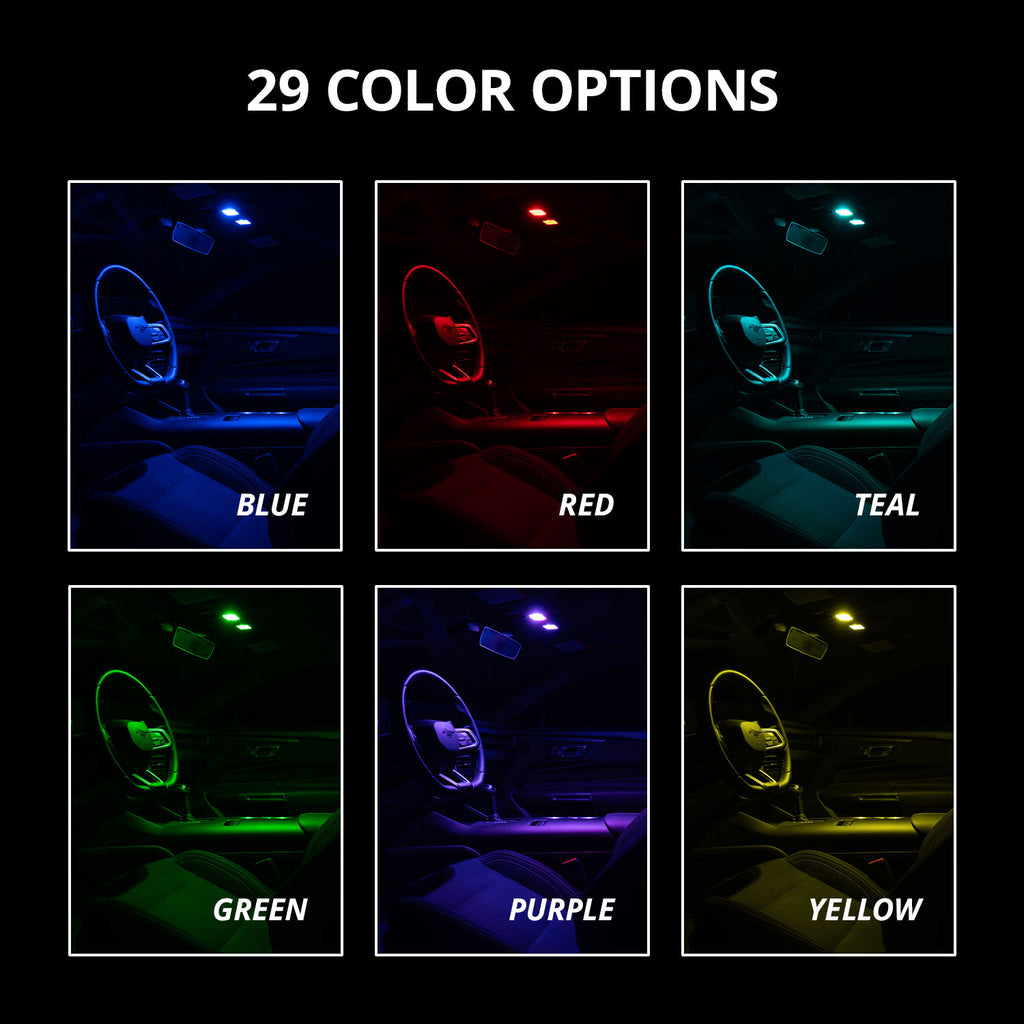 DD2303_ZZ2.jpg