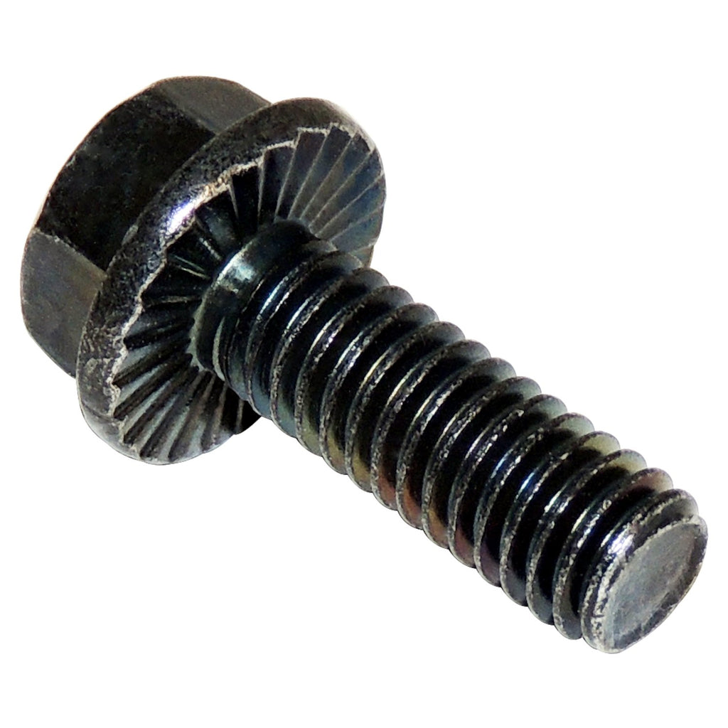273573L.jpg