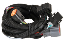 Load image into Gallery viewer, 2774_v1.jpg