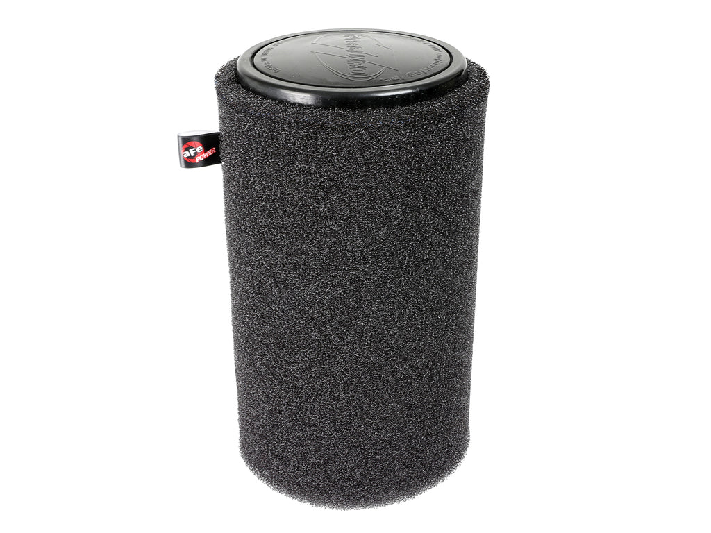 28-20001_LS1.jpg