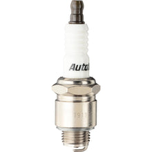 Load image into Gallery viewer, AUTOLITE 295 SPARK PLUG  4/BOX