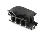 Holley EFI 300-308BK 8.2
