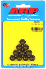 Load image into Gallery viewer, ARP 300-8331 NUTS 5/16-24 12PT PK/10