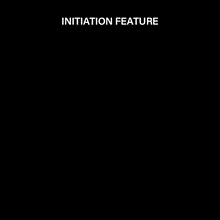 Load image into Gallery viewer, 311489X_v10.gif
