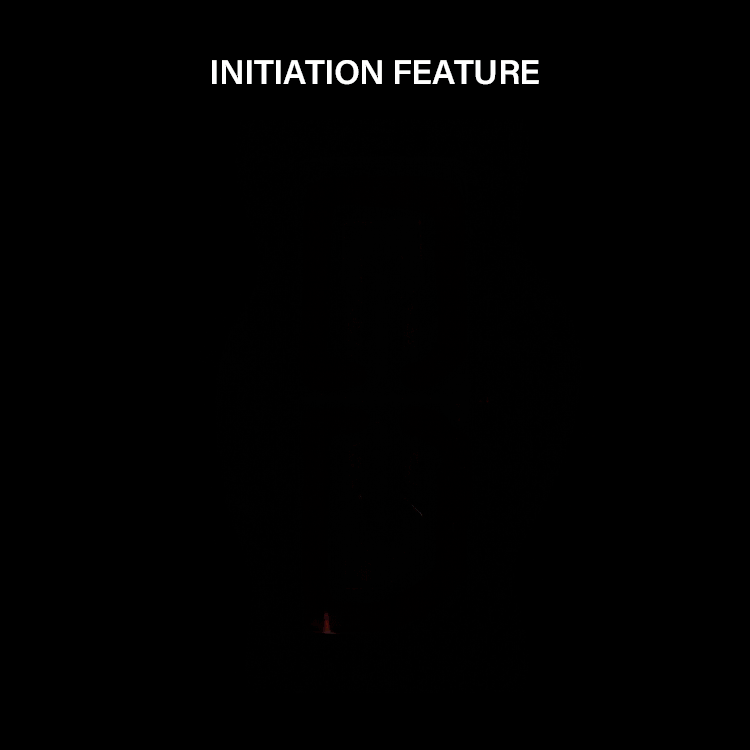311490X_v10.gif