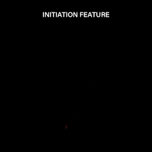 Load image into Gallery viewer, 311490X_v10.gif