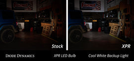 3157_xpr_cool_white_backup_collage.jpg