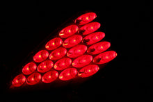 Load image into Gallery viewer, 321099_2.jpg