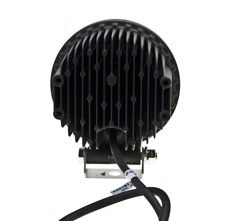 357106012AMB.BACK.jpg