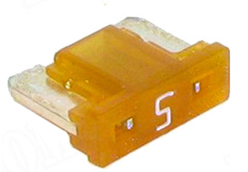 358129032.MAIN.jpg