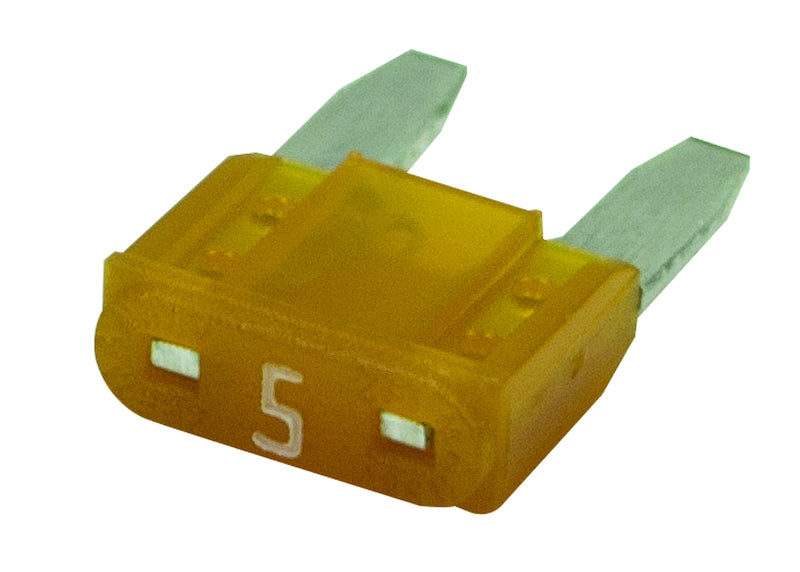 358129133.MAIN.jpg