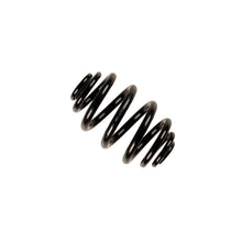 Load image into Gallery viewer, 38-153914_1.jpg