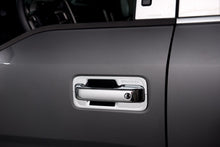 Load image into Gallery viewer, PUTCO 401063 DR HND CVR 15 F150 4D DLX