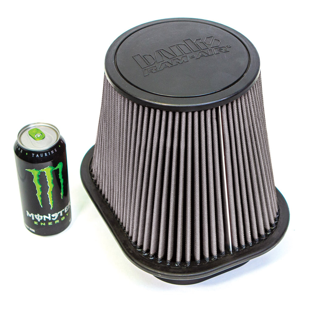 41829-D_Ford_RamAir_filter.jpg