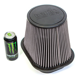 41829-D_Ford_RamAir_filter.jpg