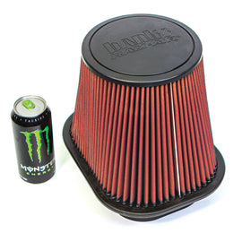 41829_Ford_RamAir_filter.jpg
