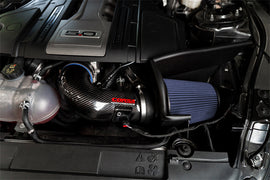 44006_b_lowres.jpg