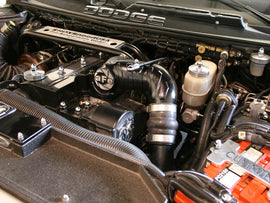 46-10021_LS1.jpg