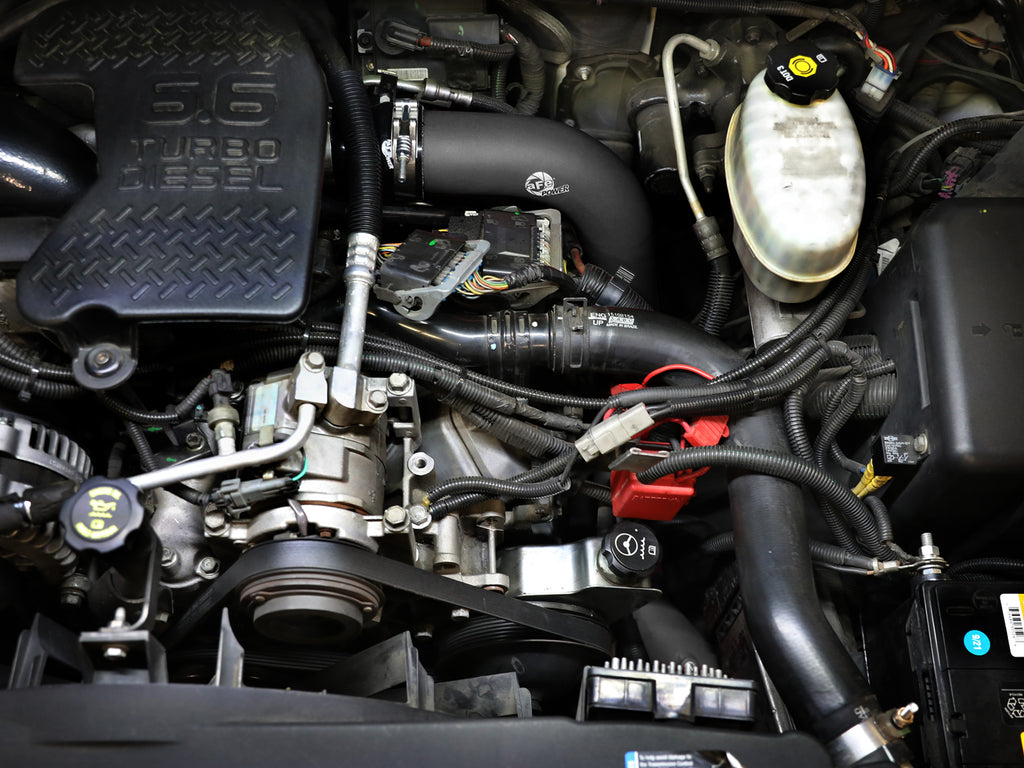 46-20054-B_LS1.jpg