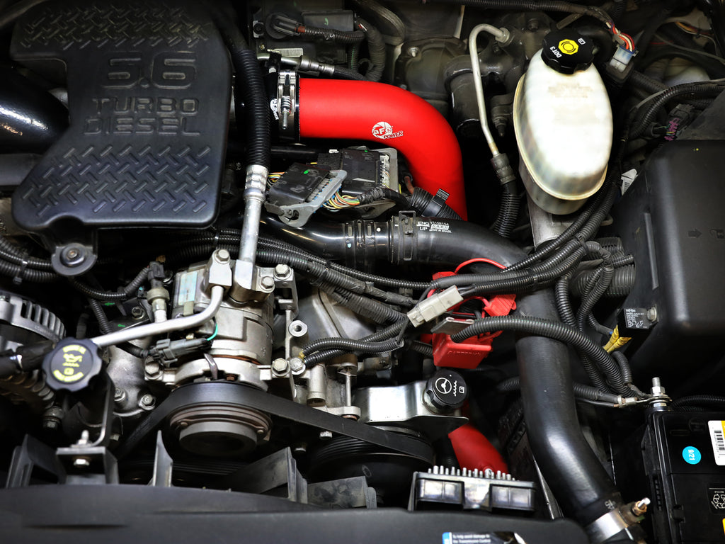 46-20054-R_LS1.jpg