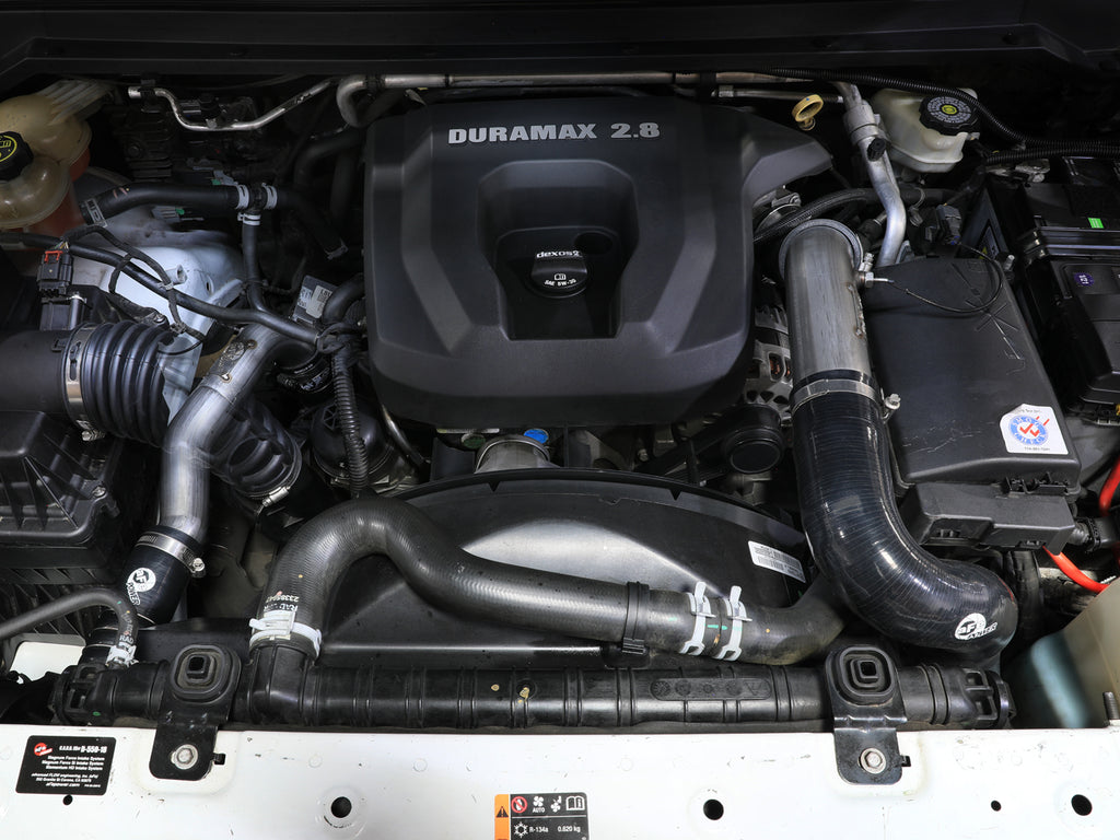 46-20264SS_LS1.jpg