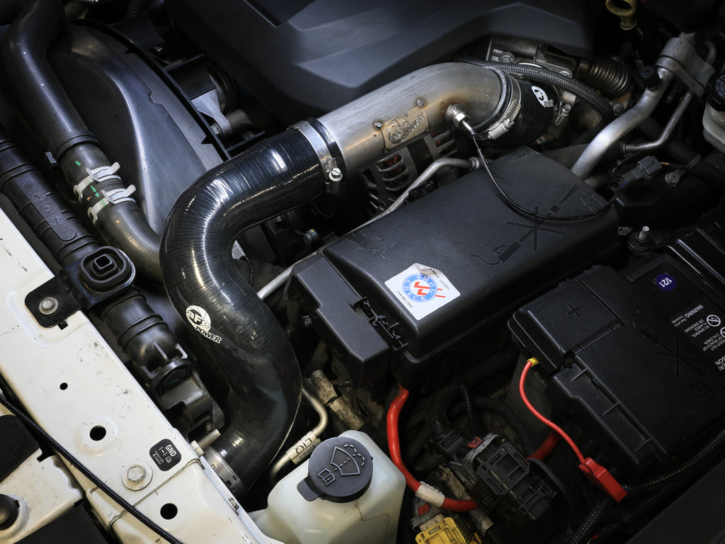 46-20269SS_LS1.jpg