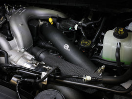 46-20738-B_LS1.jpg
