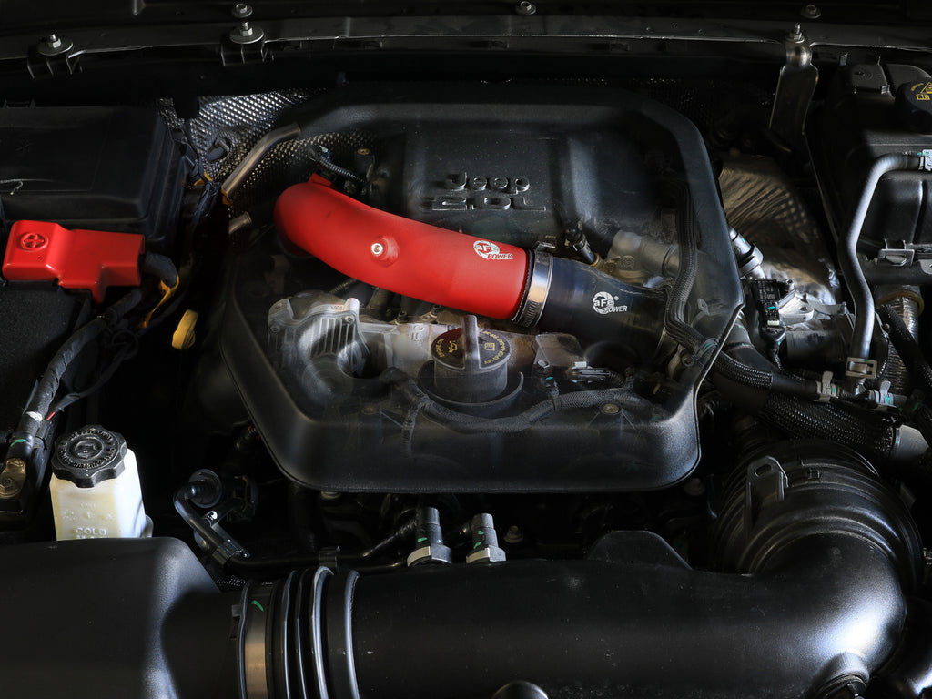46-20778-R_LS1.jpg