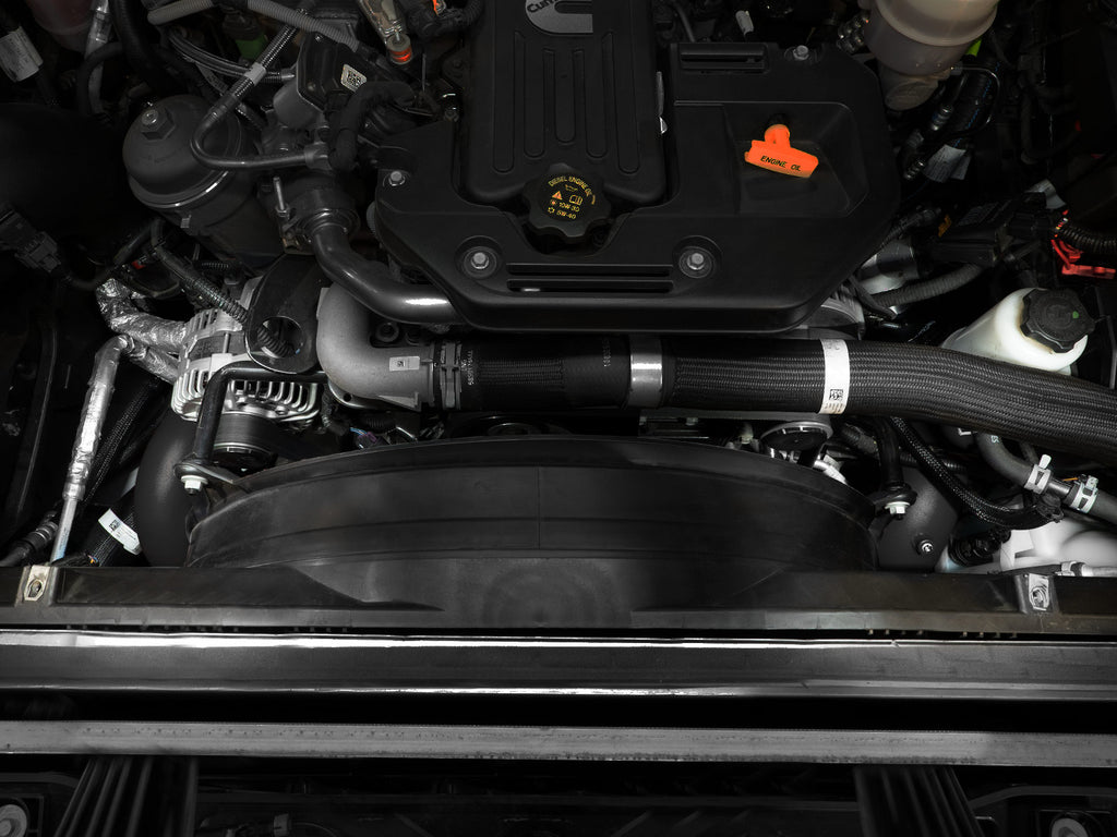 46-20814-B_LS1.jpg