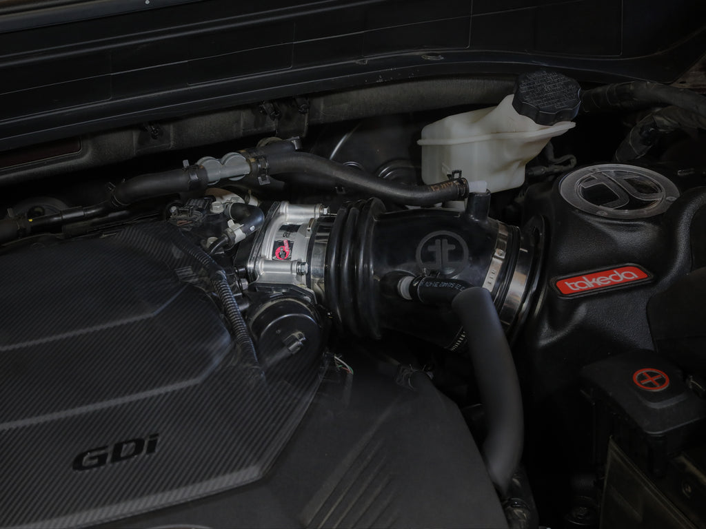 46-30004_LS1.jpg