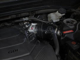46-30004_LS1.jpg