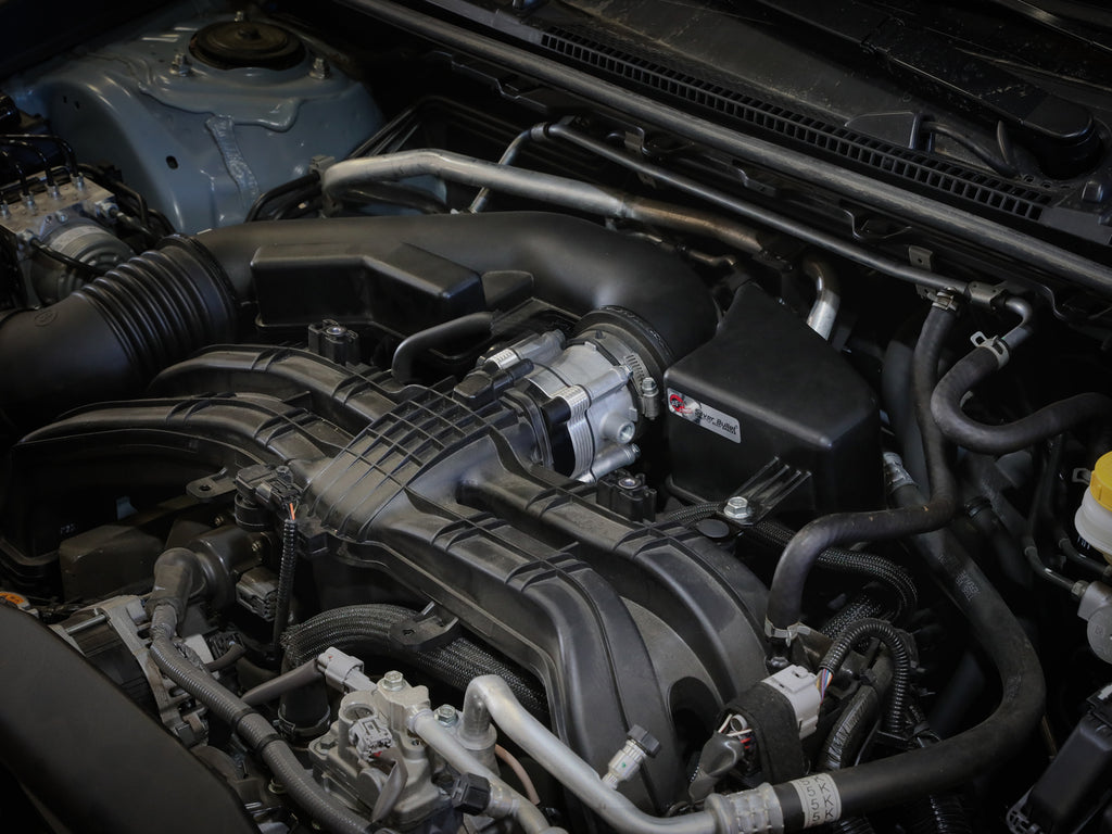 46-30005_LS1.jpg