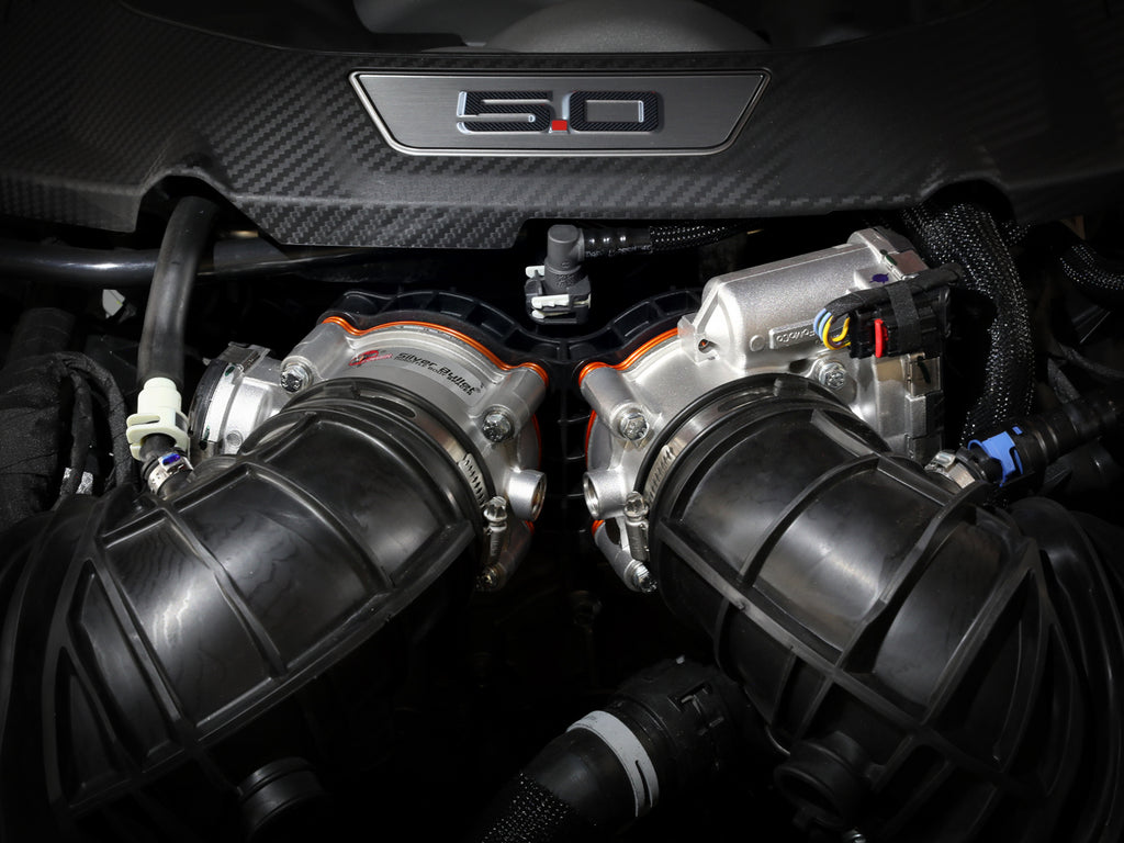 46-33026N_LS1.jpg