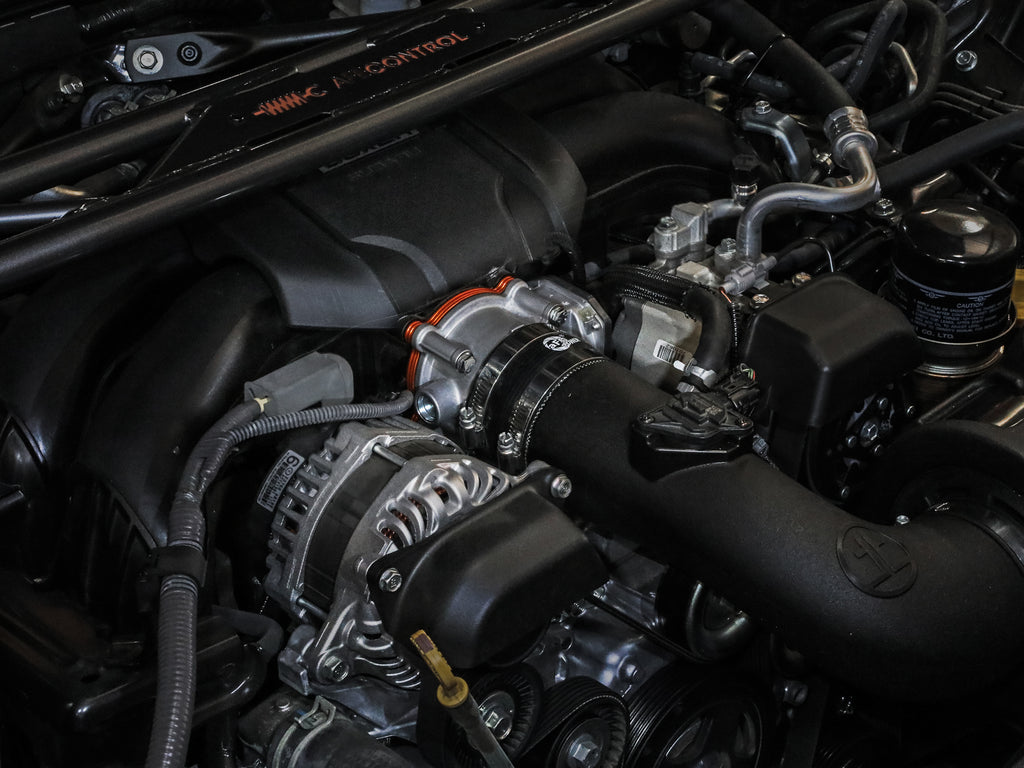 46-38013_LS1.jpg