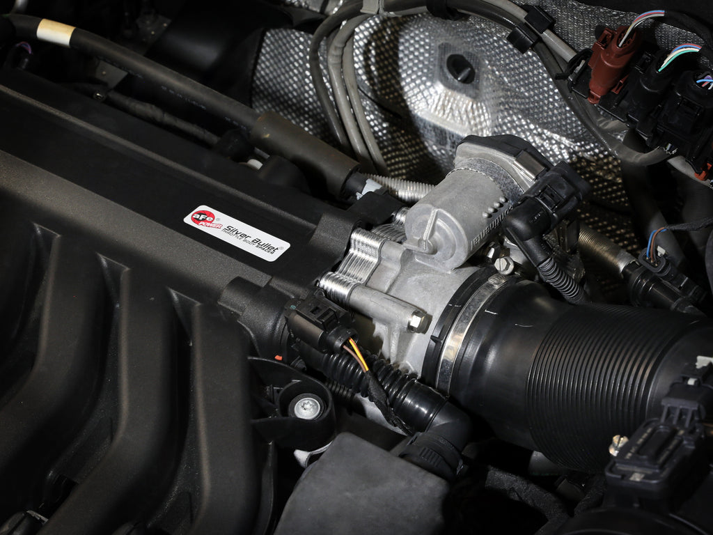 46-39004_LS1.jpg
