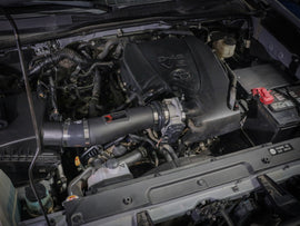 46-39102_LS1.jpg